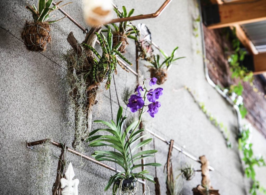 copper pipe plant display living room design