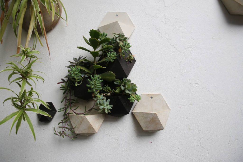 hexagonal wall planters living room design