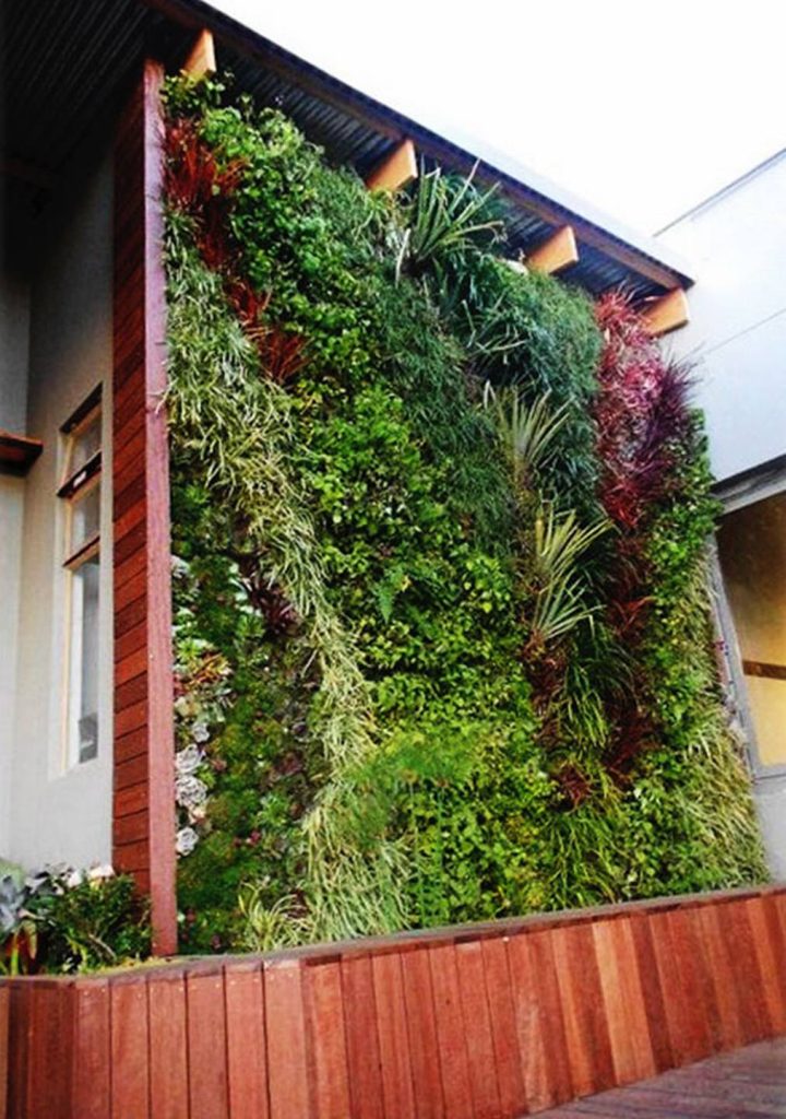 lush vertical garden living room design