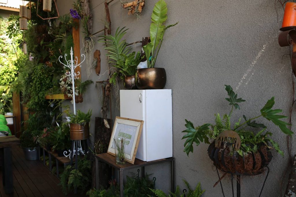 plant display living room design