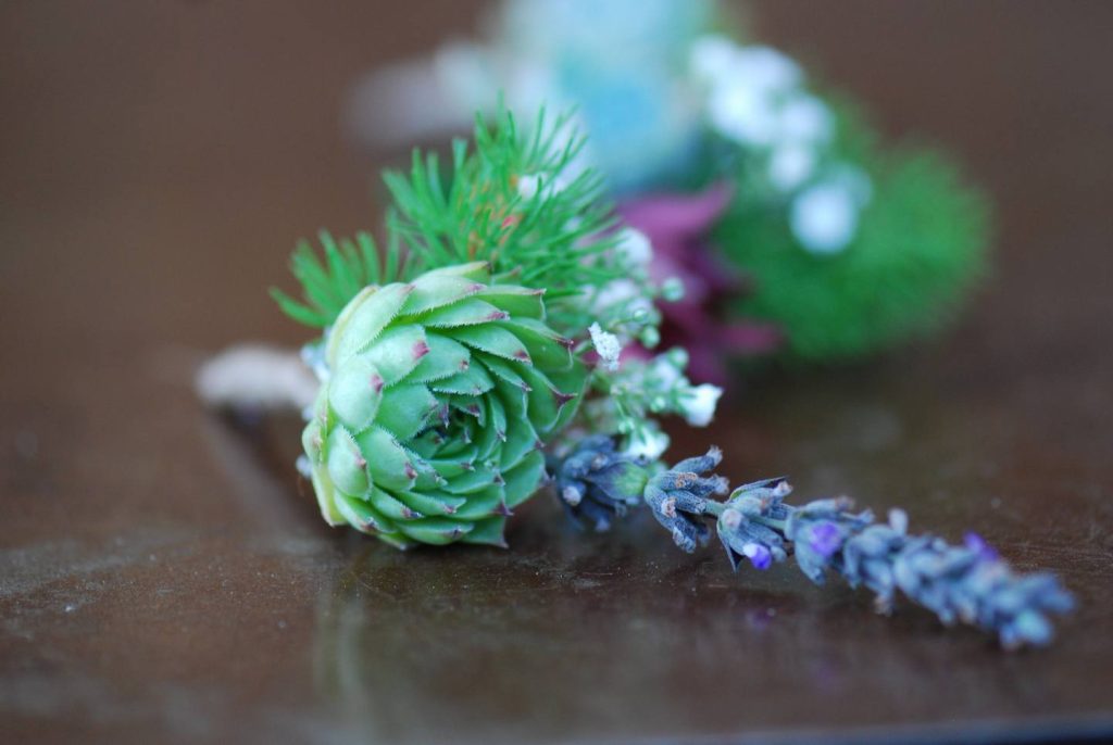 succulent boutonniere living room design