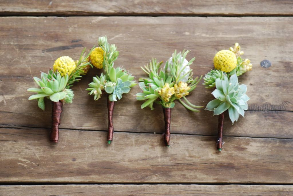 succulent boutonniere living room design