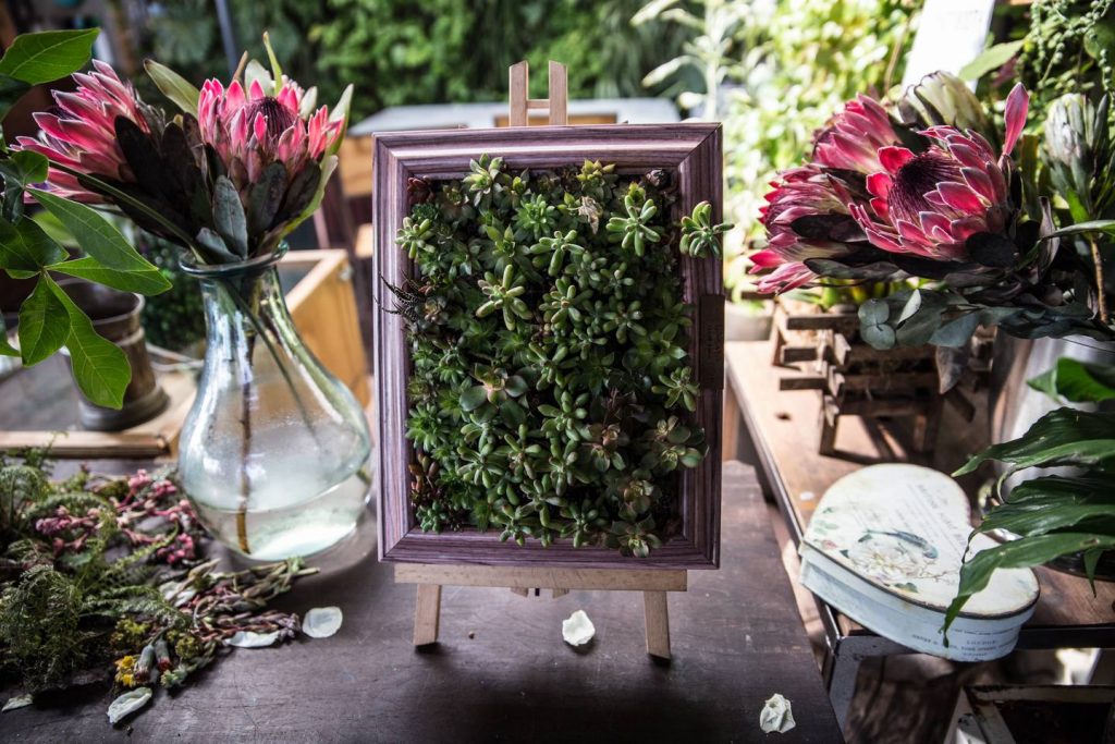 succulent wall frame living room design