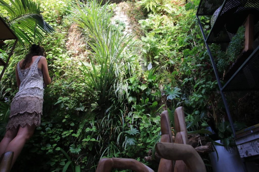 work in progress vertical garden